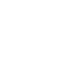 logo light